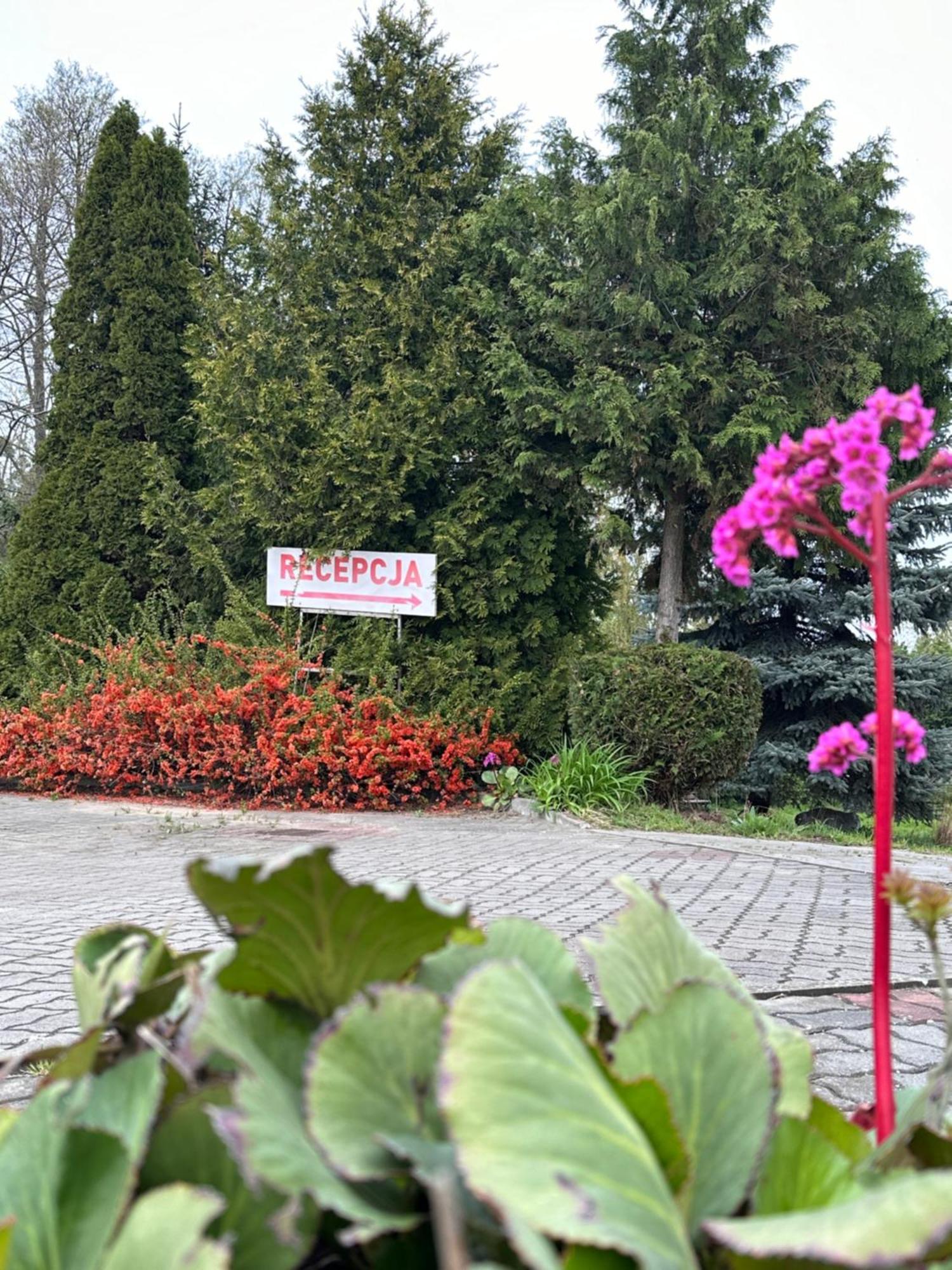 Karat Bed & Breakfast Малборк Екстериор снимка